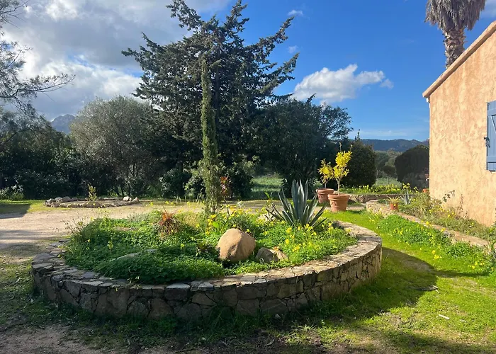 Maison De Avec Grand Jardin Et 3 Ferienhaus Calvi (Corsica)