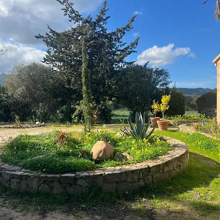 Maison De Avec Grand Jardin Et 3 Prázdninový dům Calvi (Corsica)